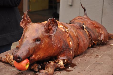 spitroast|Gallery: How to Roast a Pig on a Spit .